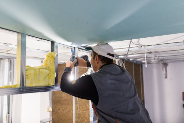 Best Cellulose Insulation in Georgetown, OH