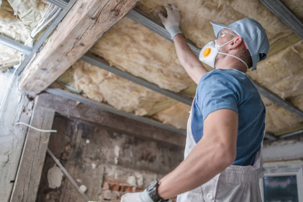 Trusted Georgetown, OH Insulation Contractor Experts